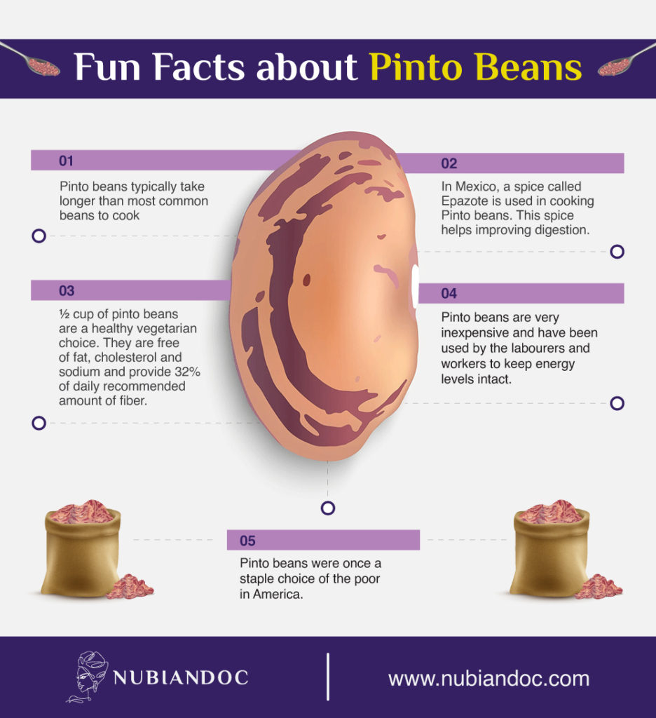 fun facts about pinto beans