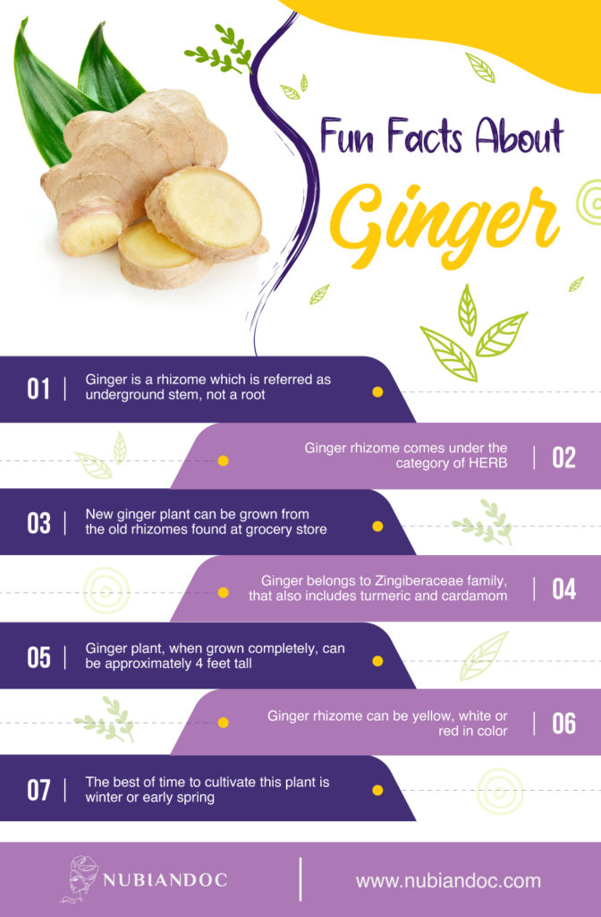 Nutritional Value and Health Benefits of Ginger