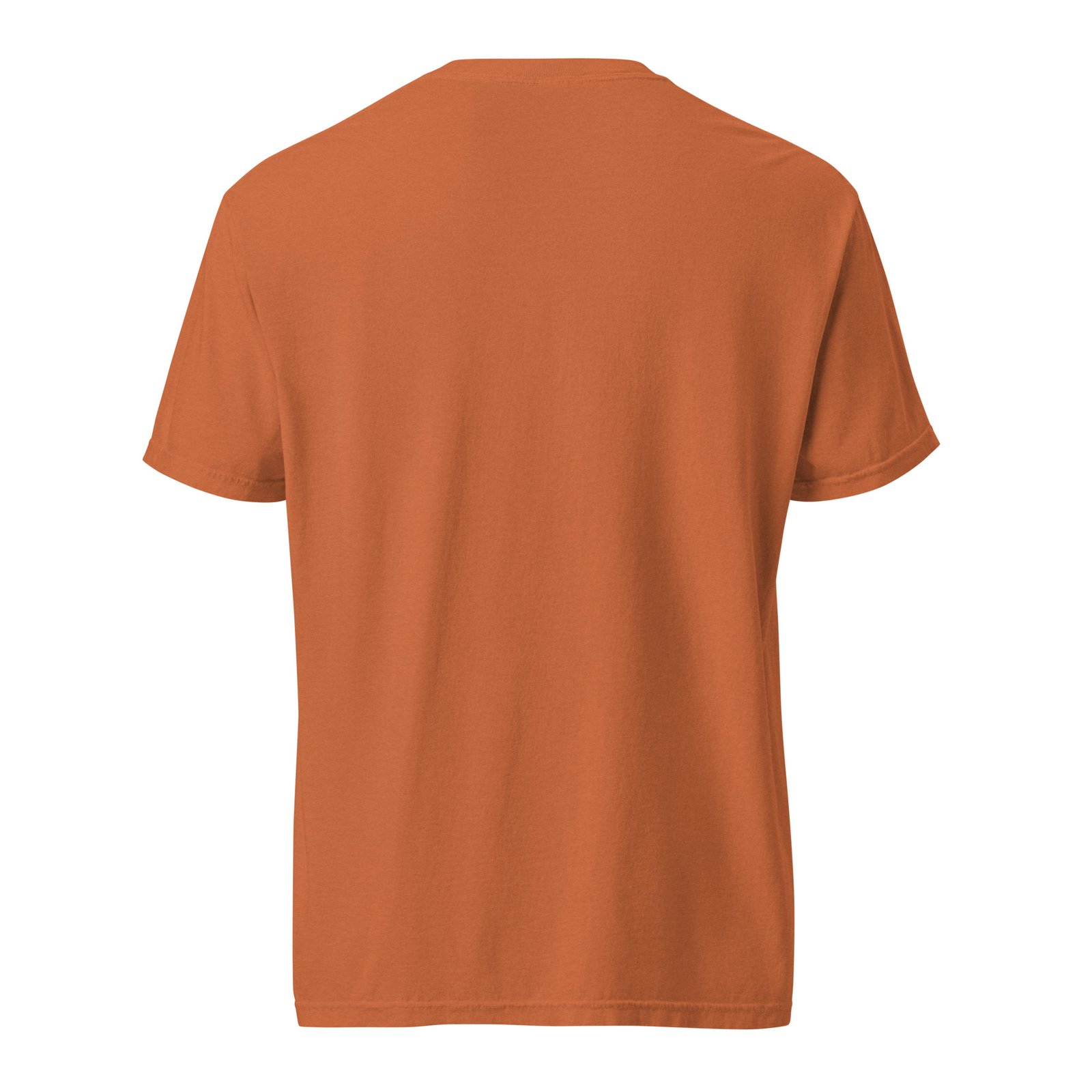 Soft Skin. Sharp Mind. | NubianDoc Tee — Terracotta - Image 2