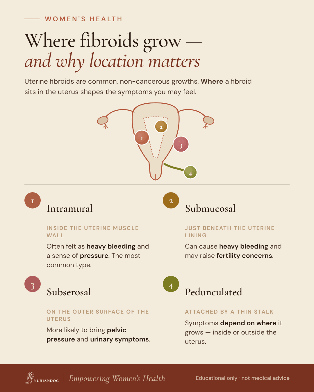 Fibroid Types